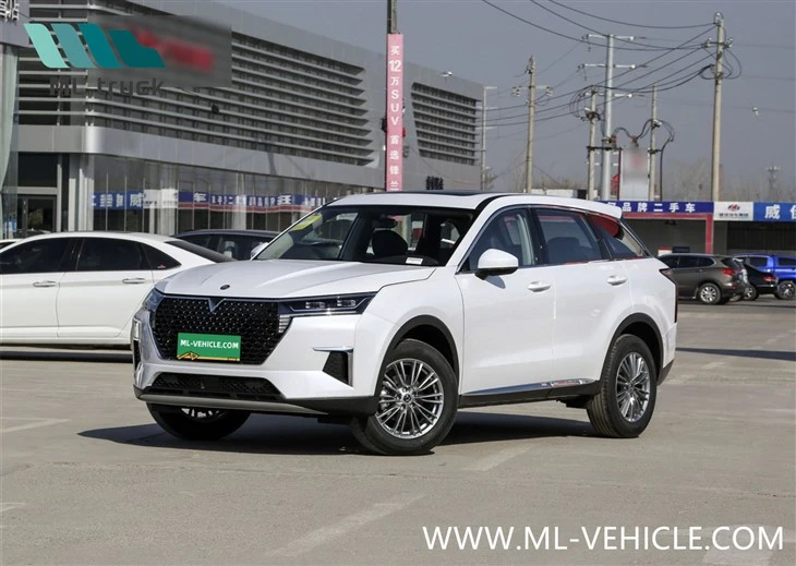 DongFeng NISSAN Venucia Estrela