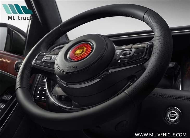 HongQi LS7