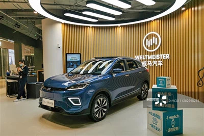WM Motor pede revisão de falência